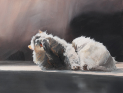 https://www.alicezimmermann.com/files/gimgs/th-4_GattoPulizie.jpg