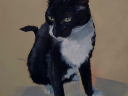 https://www.alicezimmermann.com/files/gimgs/th-4_Giglio-gatto-piccolo_v2.jpg